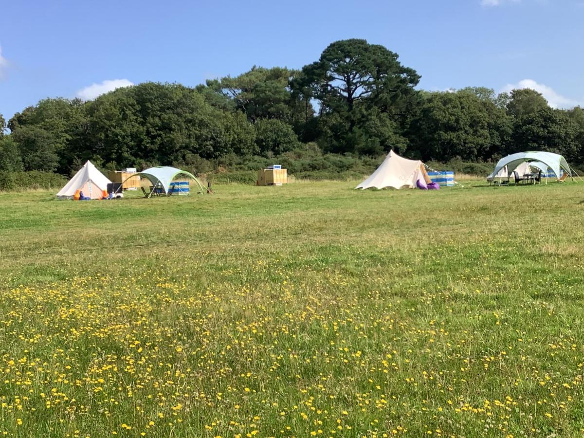 West Holme Glamping Hotel Wareham Eksteriør billede