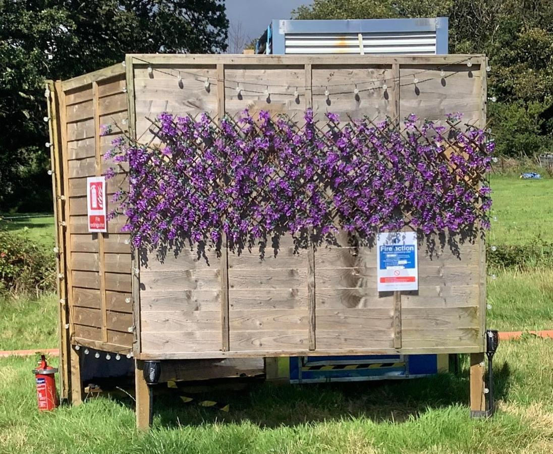 West Holme Glamping Hotel Wareham Eksteriør billede